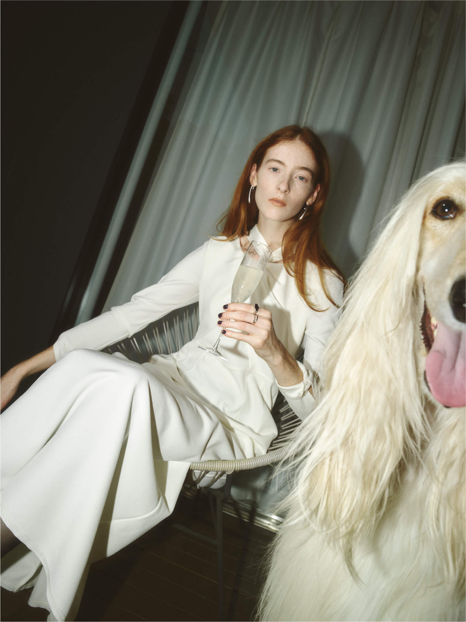 ノットドレスを着用した女性と犬の画像