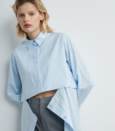 タイトルが入ります